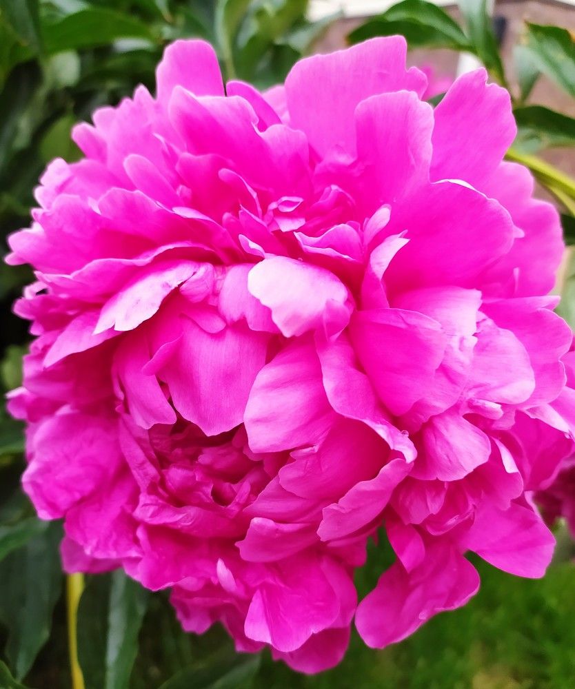 Фотография автора Елена Александрова