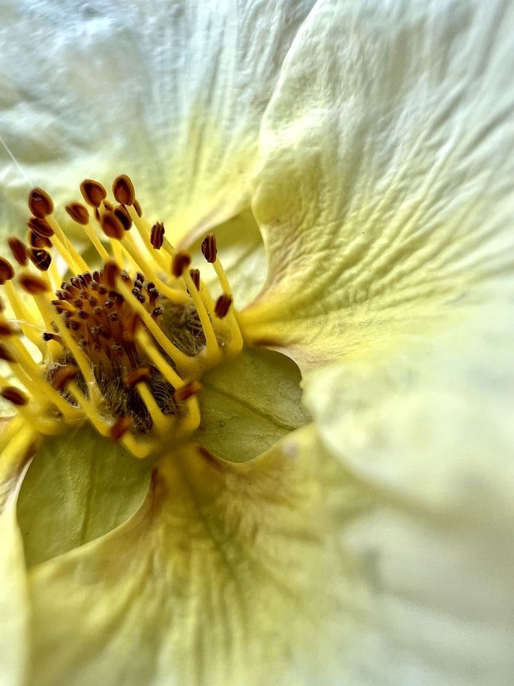 Photograph by Елена Змейкова