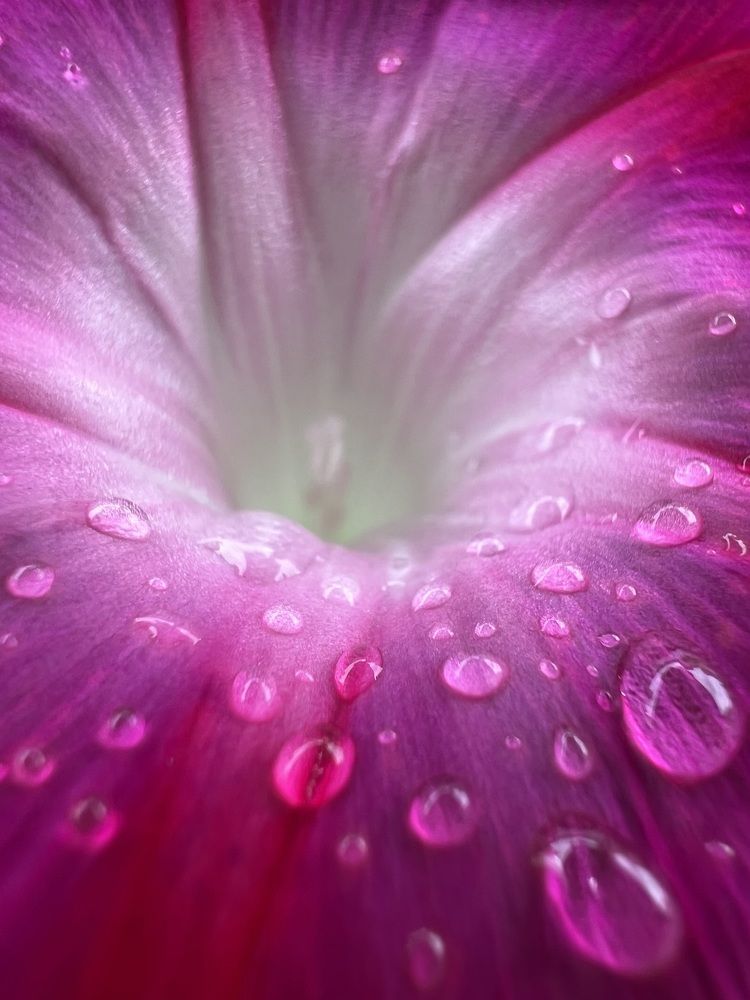Photograph by Елена Змейкова