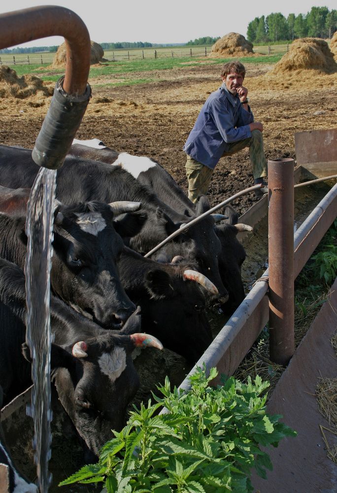 Фотография автора Андрей Данильсон