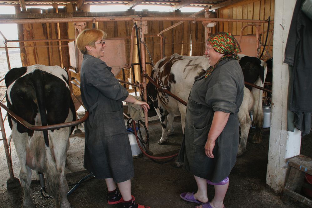 Фотография автора Андрей Данильсон
