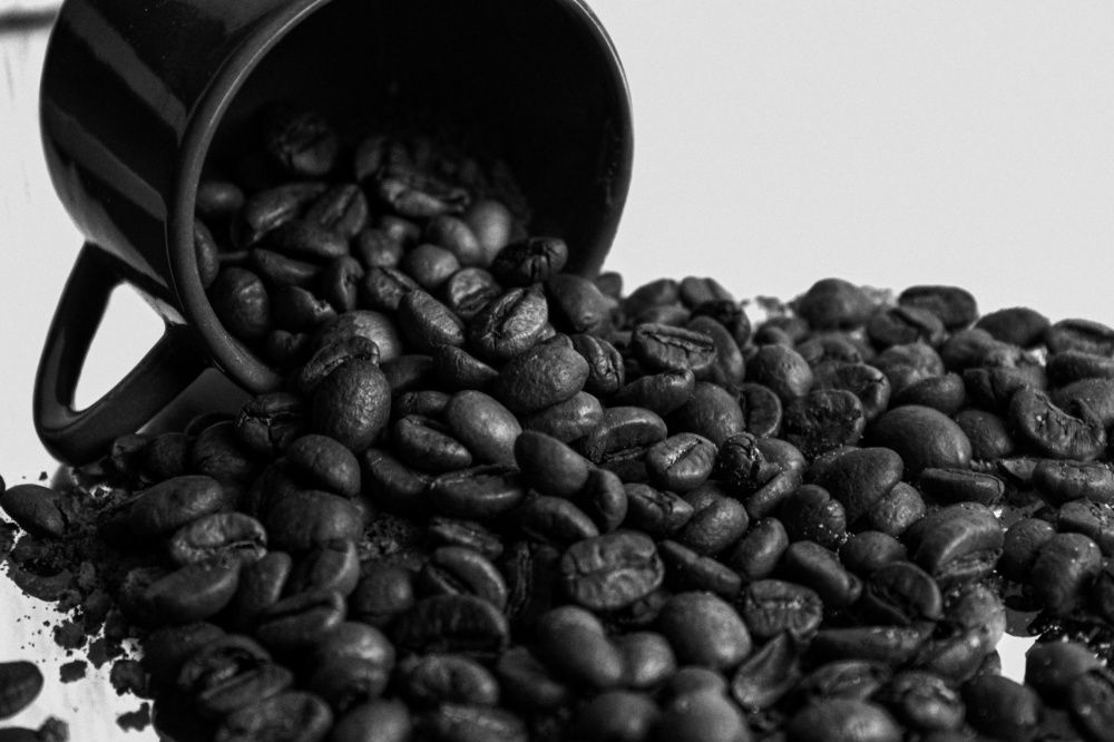 Photograph by Ирина Дмитриенко