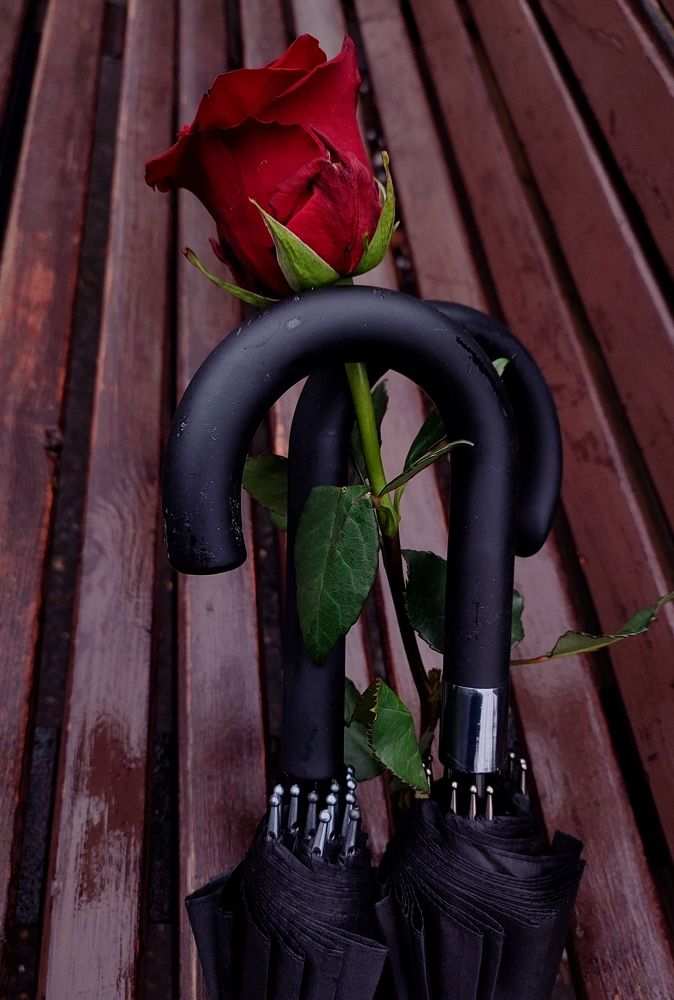 Photograph by Pavel Gerasimov