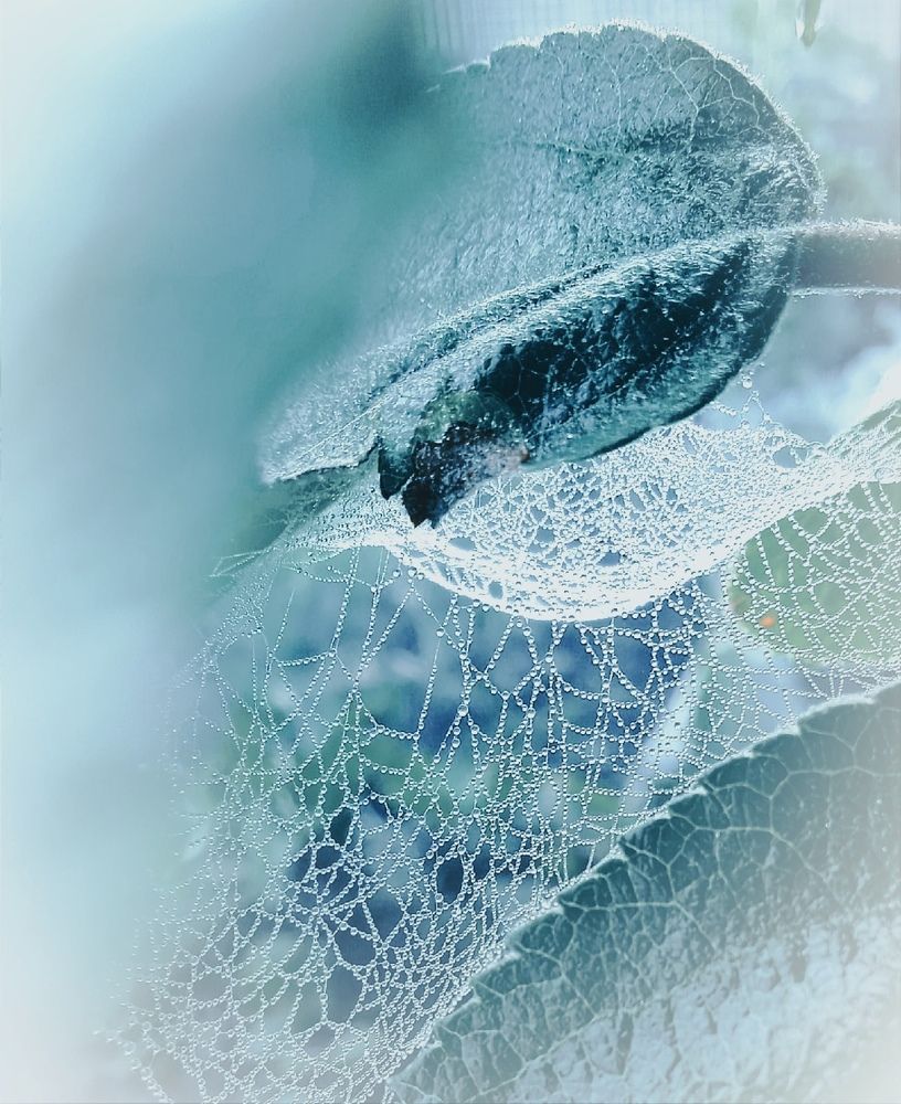 Photograph by Евсеева Валентина