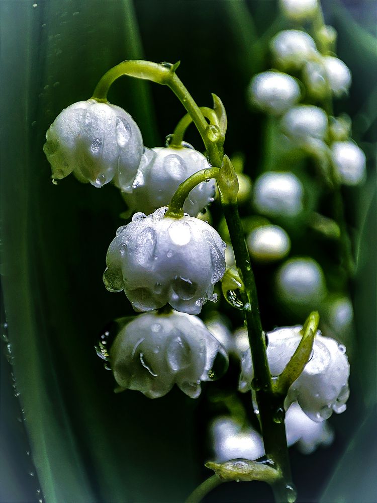 Фотография автора Нина Зинченко