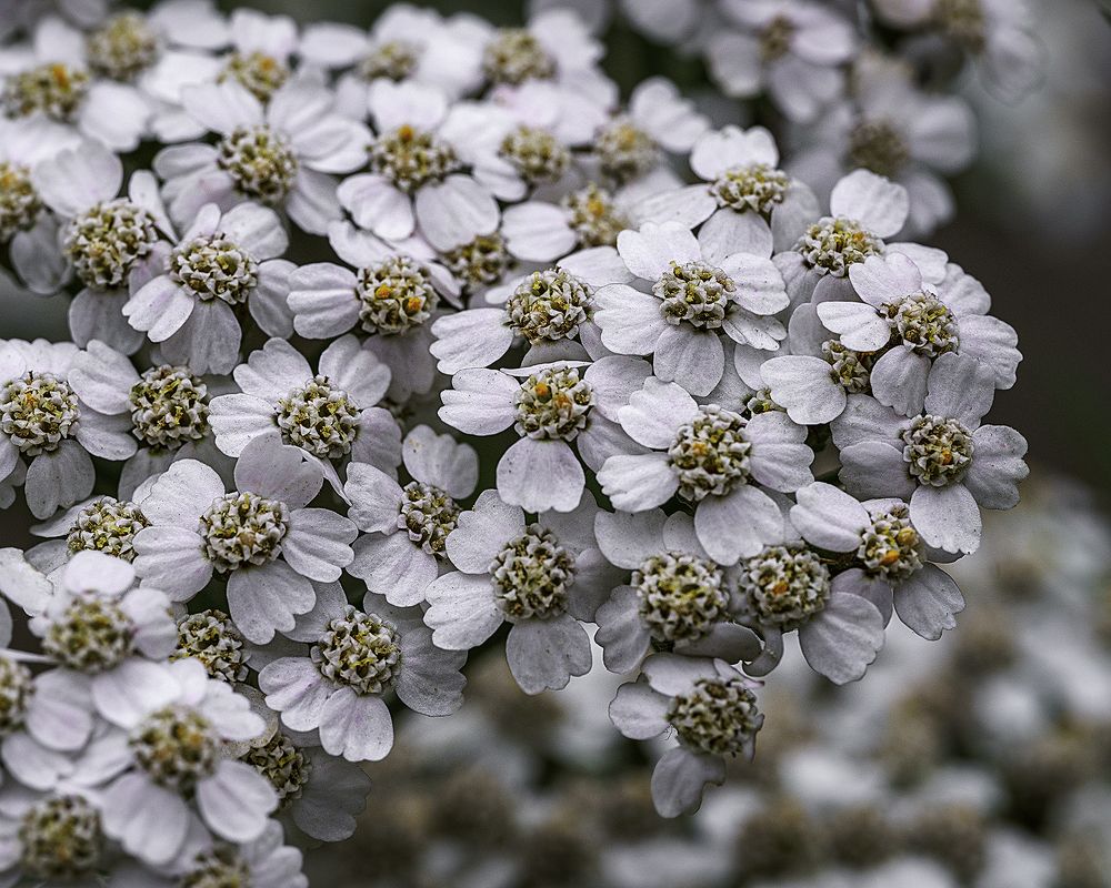 Photograph by Anna Sindikayeva