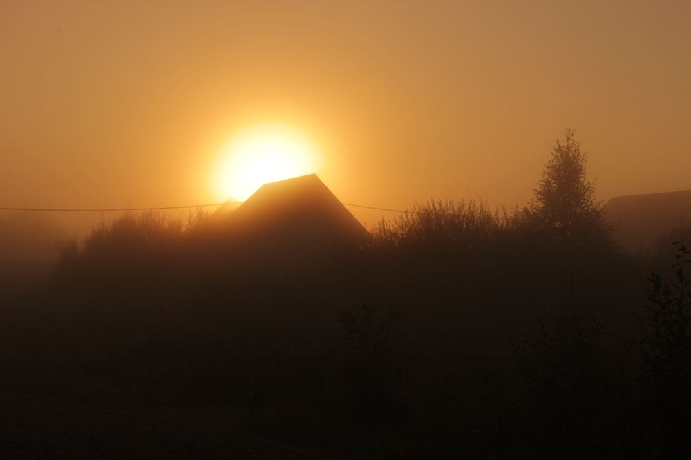 Photograph by Зоя Кулько