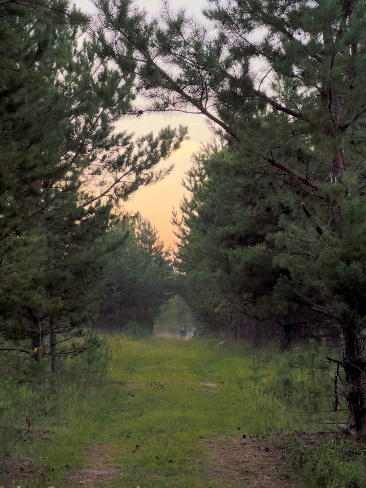 Photograph by Елена Змейкова