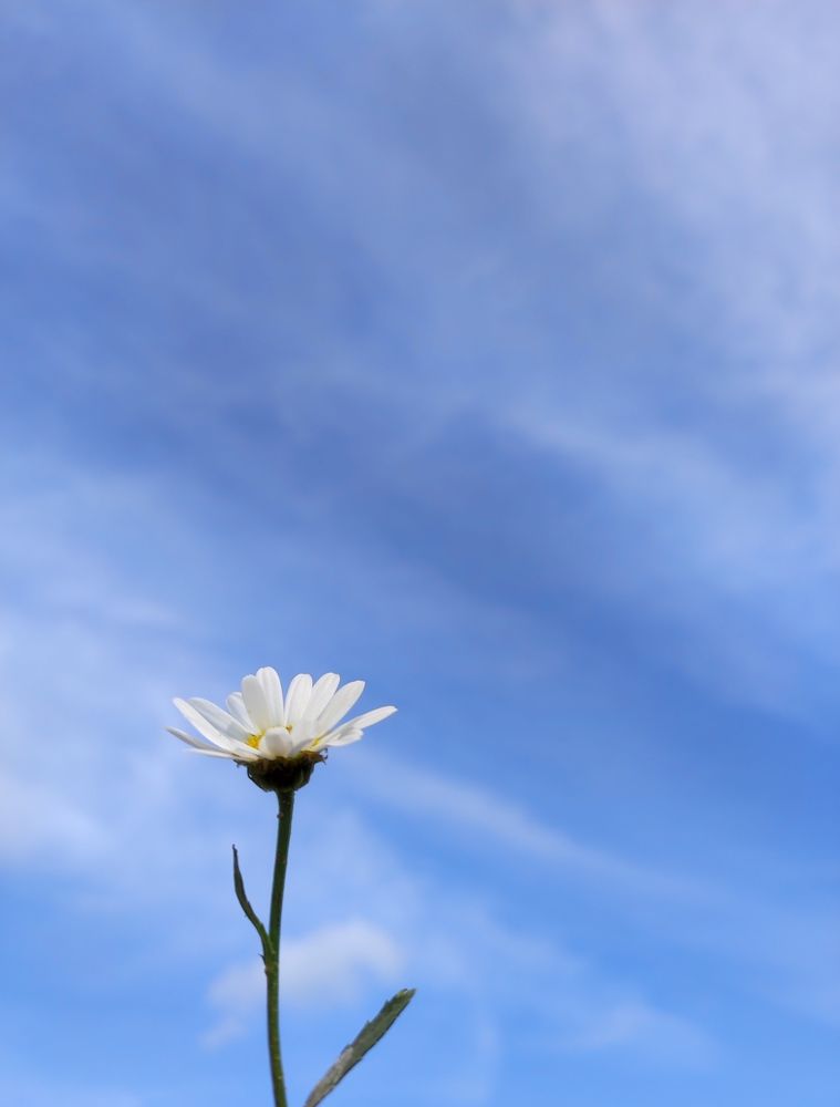 Фотография автора Татьяна