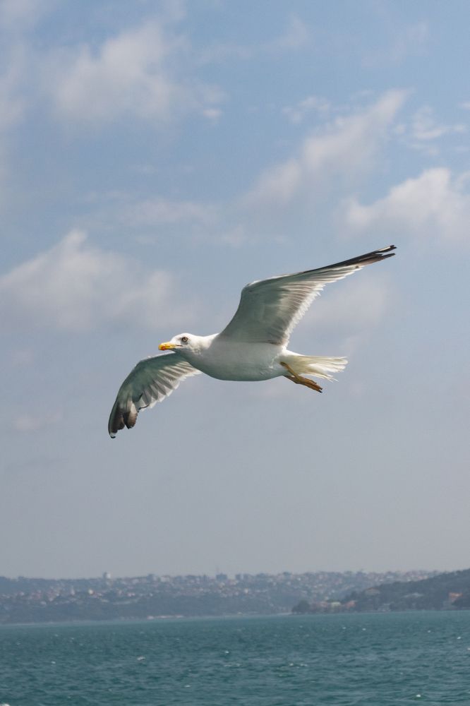 Photograph by Pavel Gerasimov