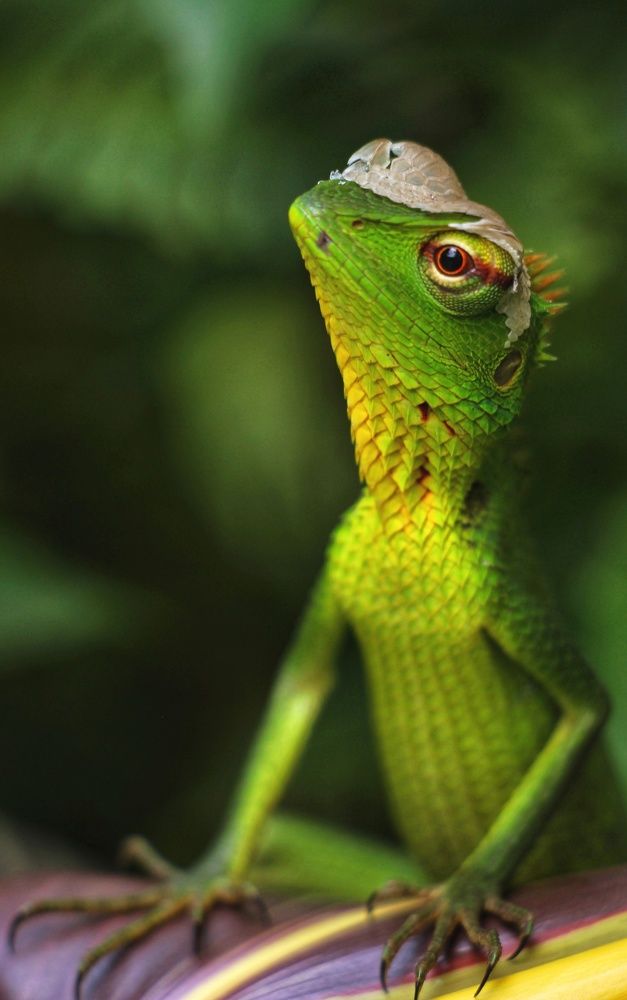 Photograph by Navodya Jayasinhe Arachchige Hashan