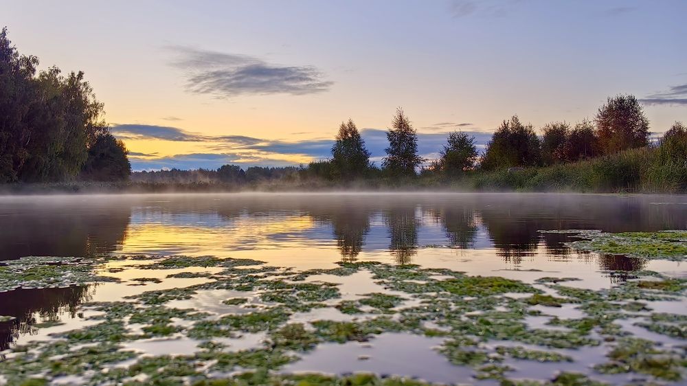 Фотография автора Александр Петаев