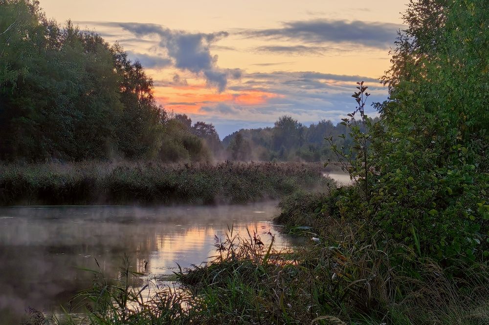 Фотография автора Александр Петаев