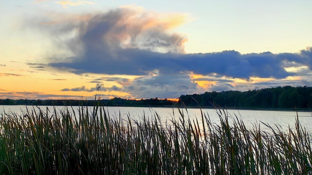 Фотография автора Александр Петаев