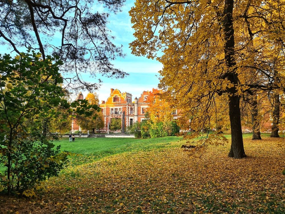 Photograph by Елена Квасова