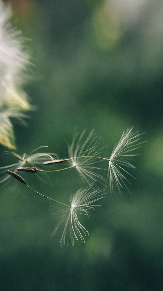 Photograph by Дерягина Татьяна