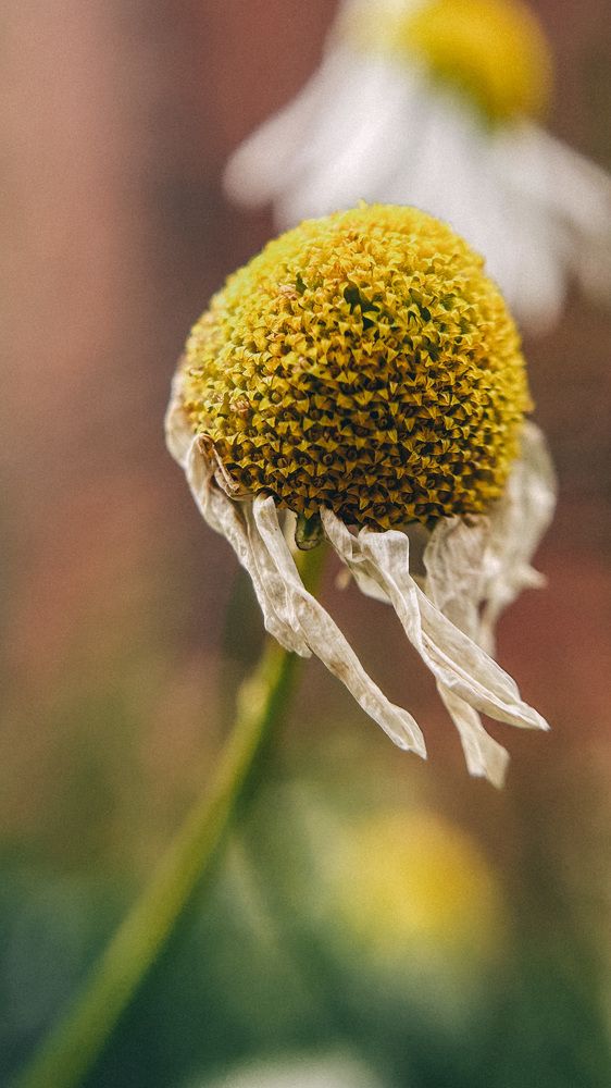 Photograph by Дерягина Татьяна