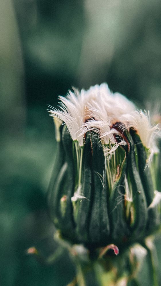 Photograph by Дерягина Татьяна