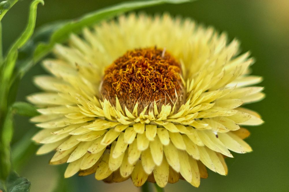 Photograph by Устинов Андрей