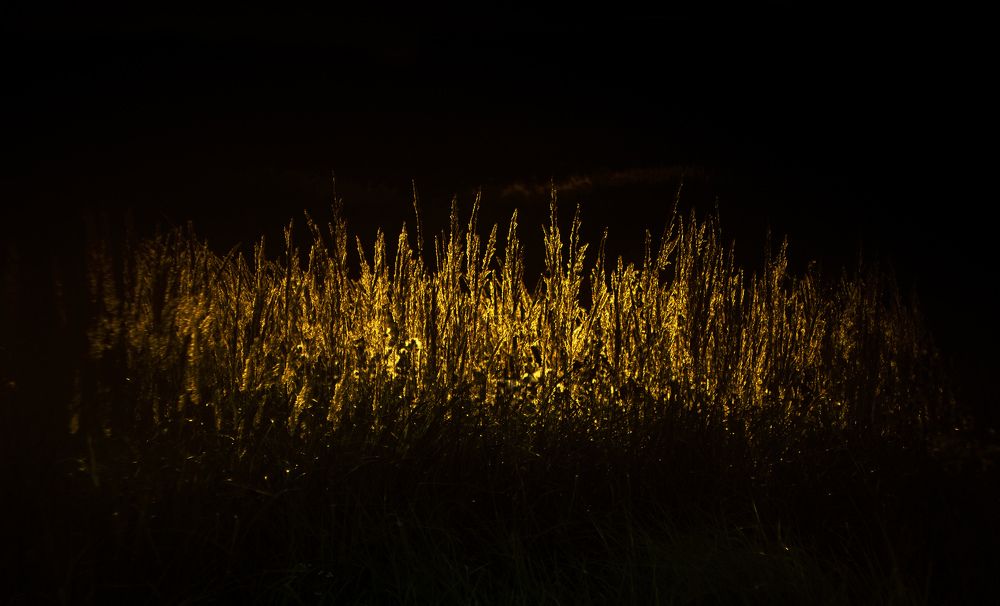 Photograph by Мария Кузьмина