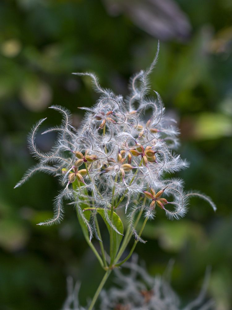 Photograph by Кутний Игорь