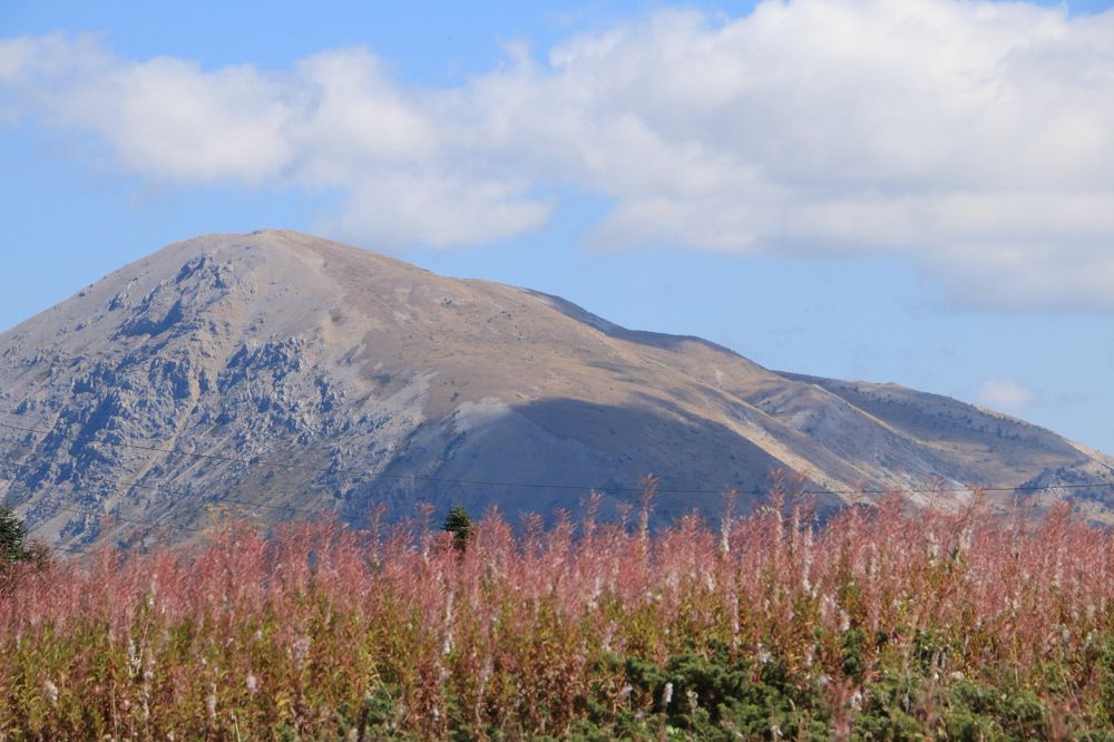 Photograph by Cengiz Yalcin