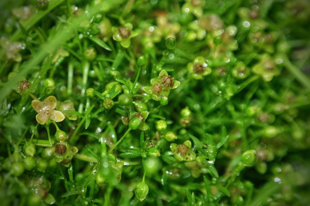 Photograph by Дина Чаица