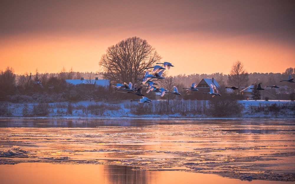 Фотография автора Богородицкий Артур