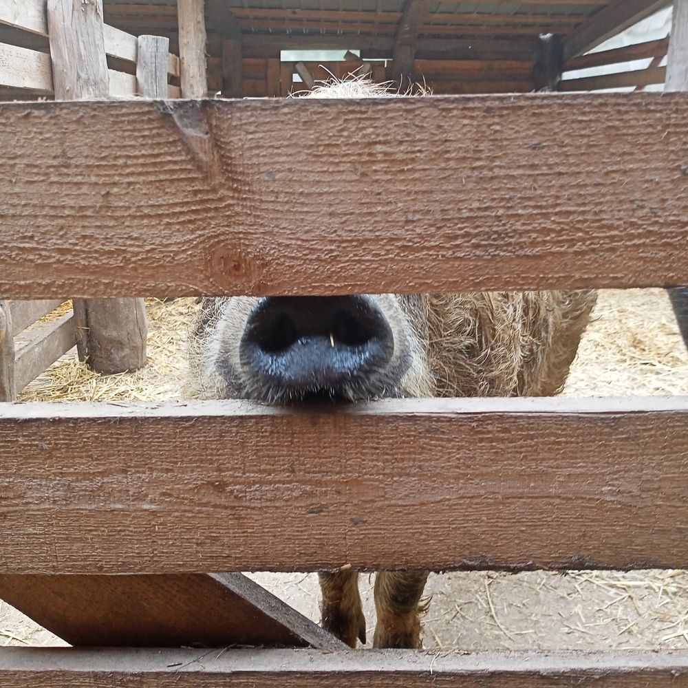 Photo #9544594