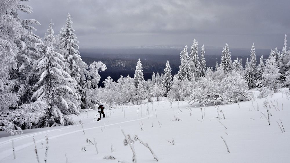 Photograph by Павел Фёдоров