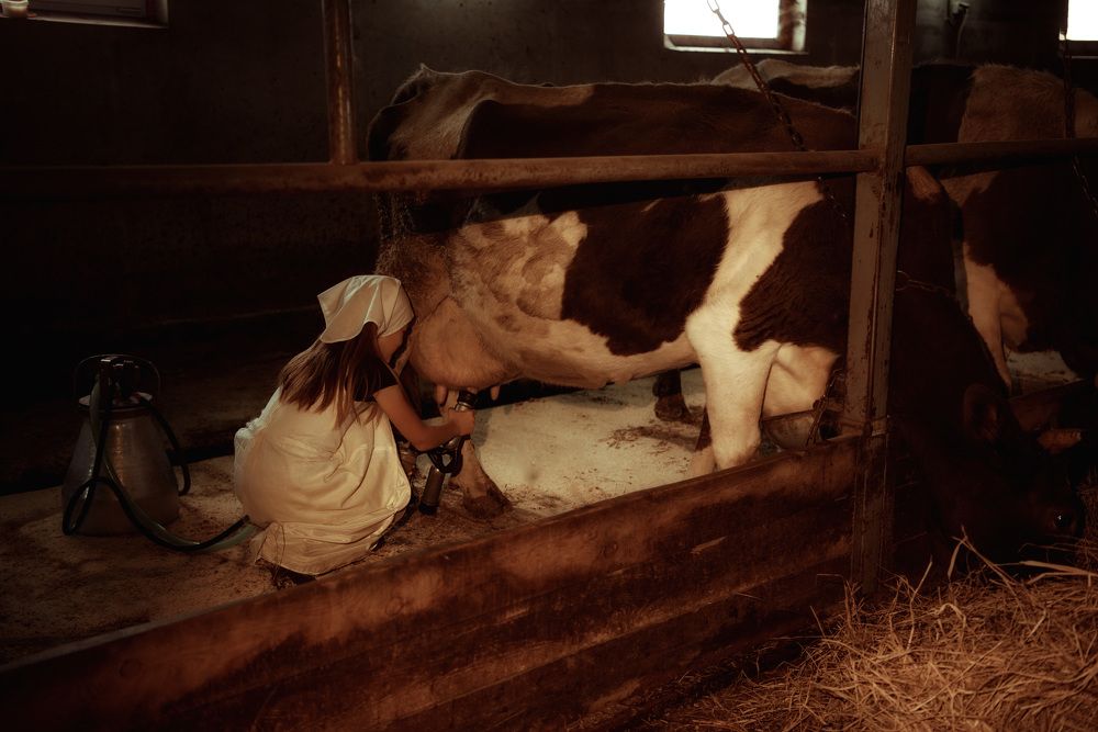 Photograph by Мария Путилина