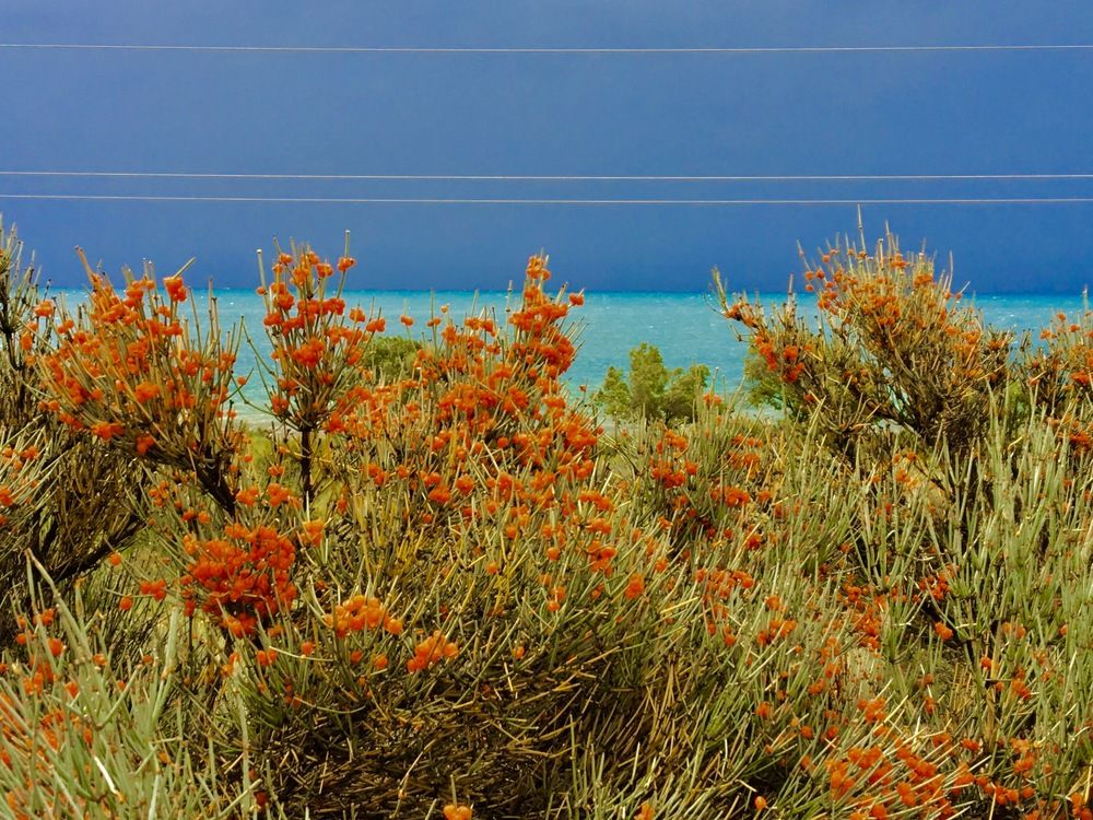 Photograph by Елена Ким