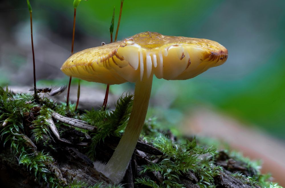 Photograph by Евгения Севрюкова