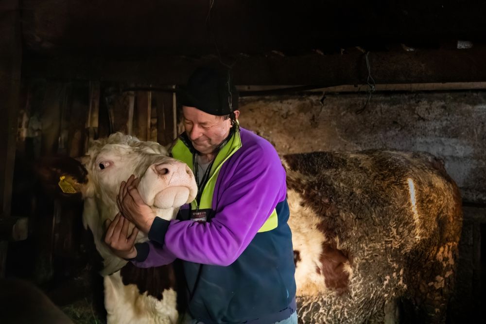 Фотография автора Claudio Sericano