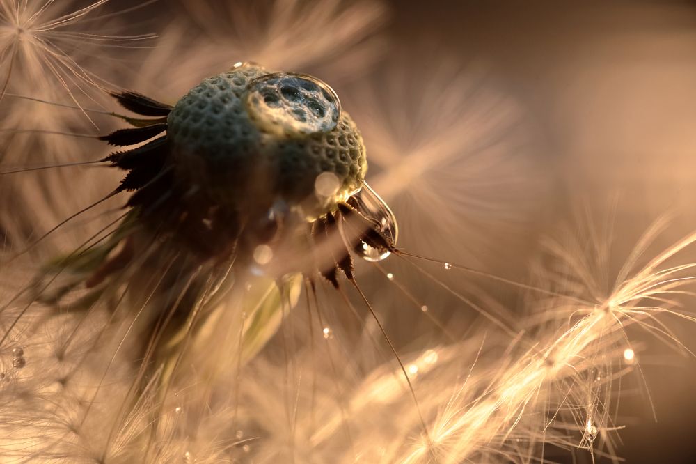 Photograph by Sergey Kudryashov