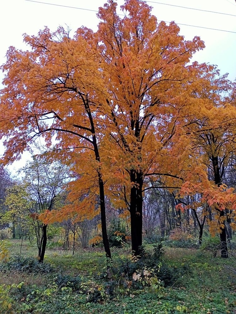 Photograph by Адамян Анна