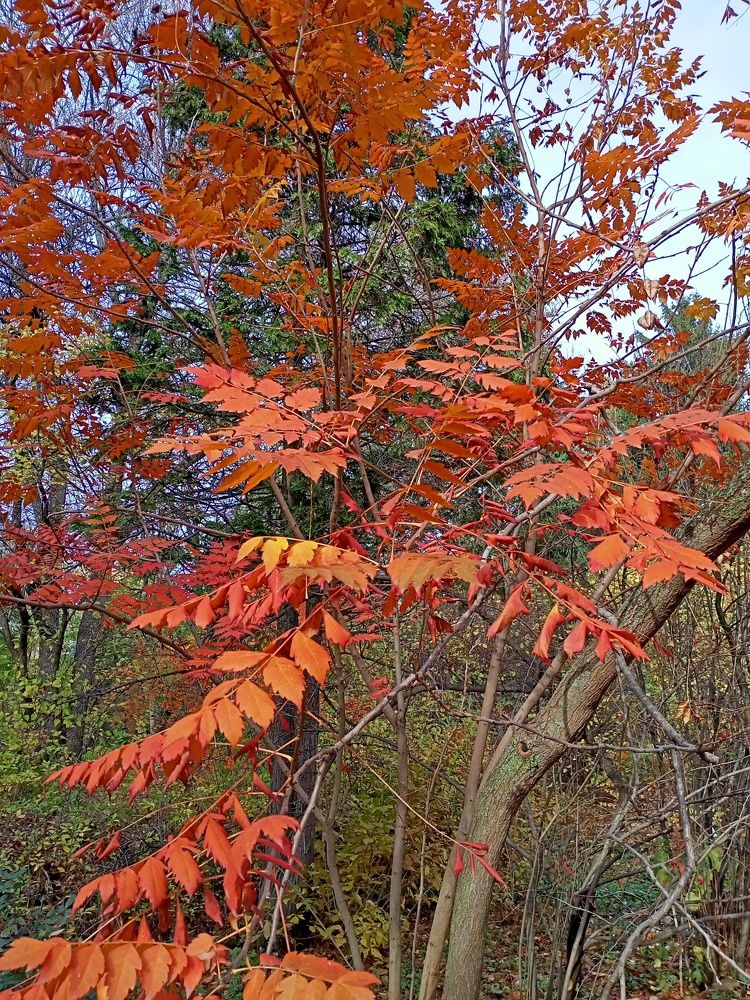 Photograph by Адамян Анна