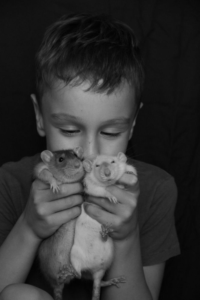 Photograph by Зоя Кулько