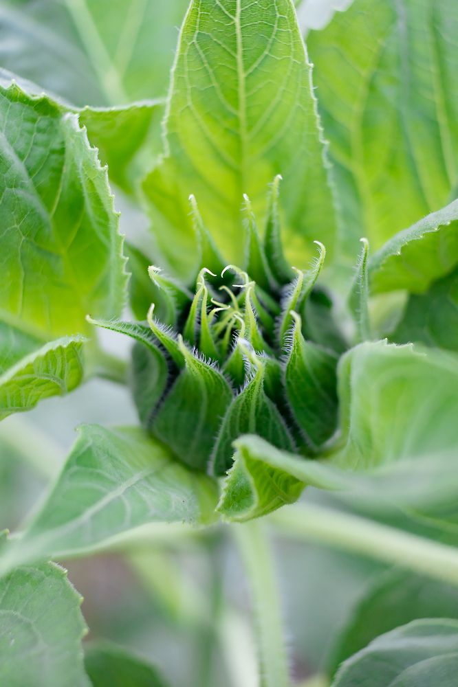 Photograph by Ольга Богданова