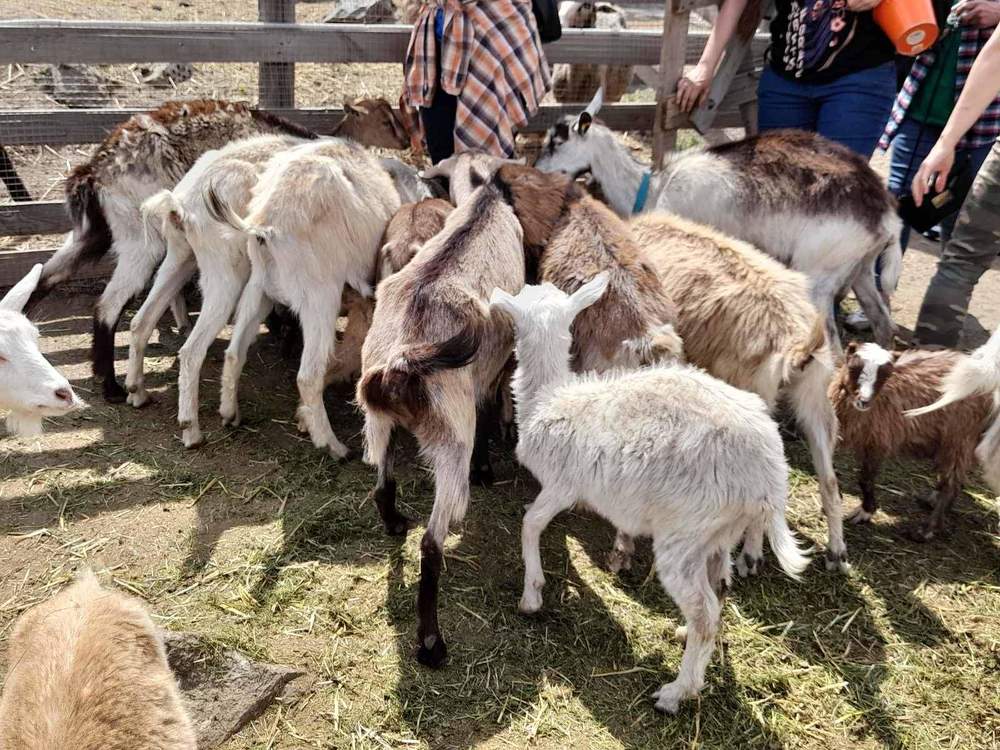 Photograph by Адамян Анна