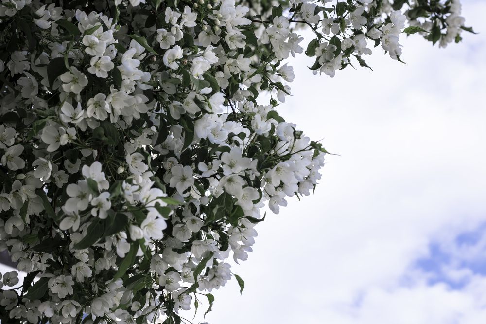 Photograph by Мария Кириллова