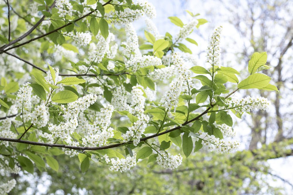 Photograph by Мария Кириллова