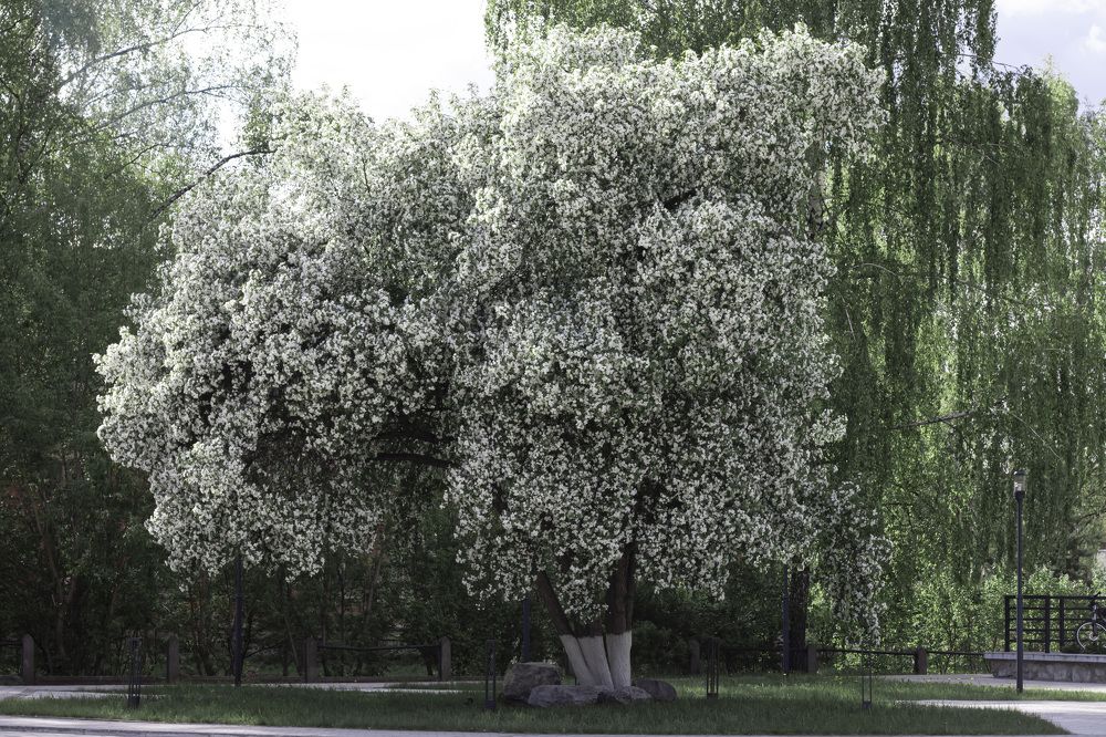 Photograph by Мария Кириллова