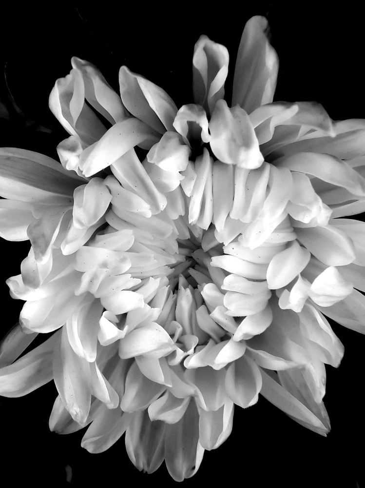 Photograph by Ольга