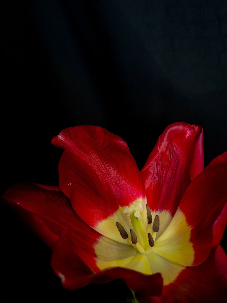 Photograph by Veranika Siratsinina