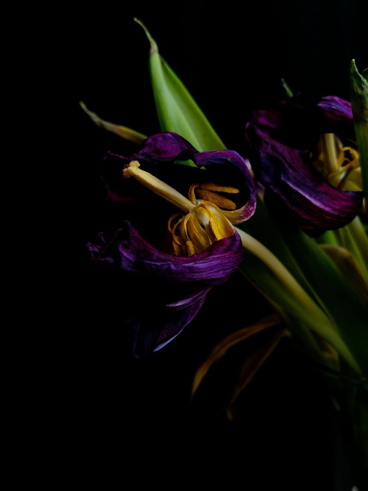 Photograph by Veranika Siratsinina
