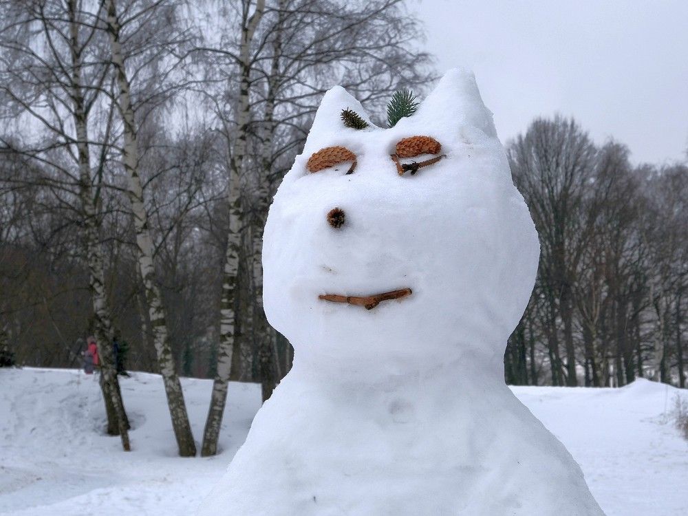 Белый, совсем белый...