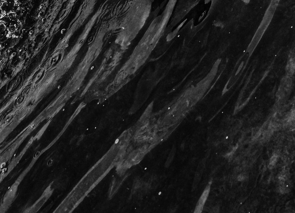 Photograph by Мая Боц