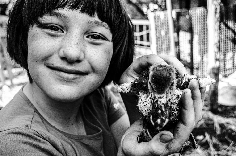 Photograph by Мая Боц