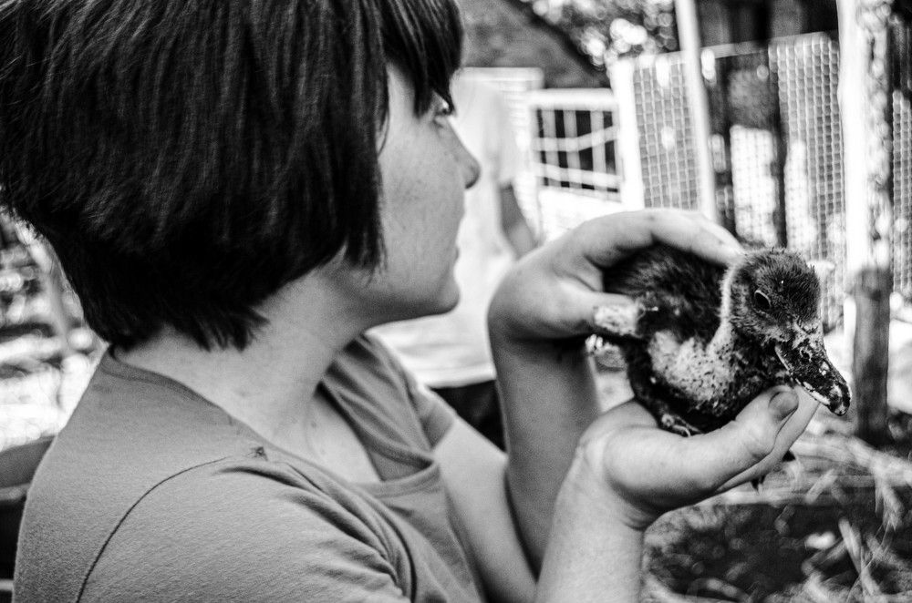 Photograph by Мая Боц